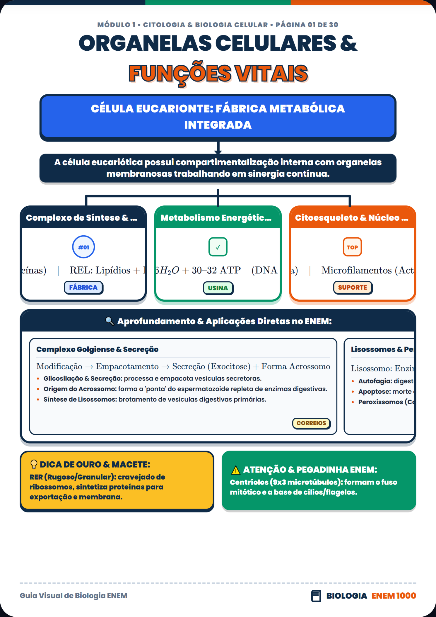 Biologia: Citologia e Organelas Celulares