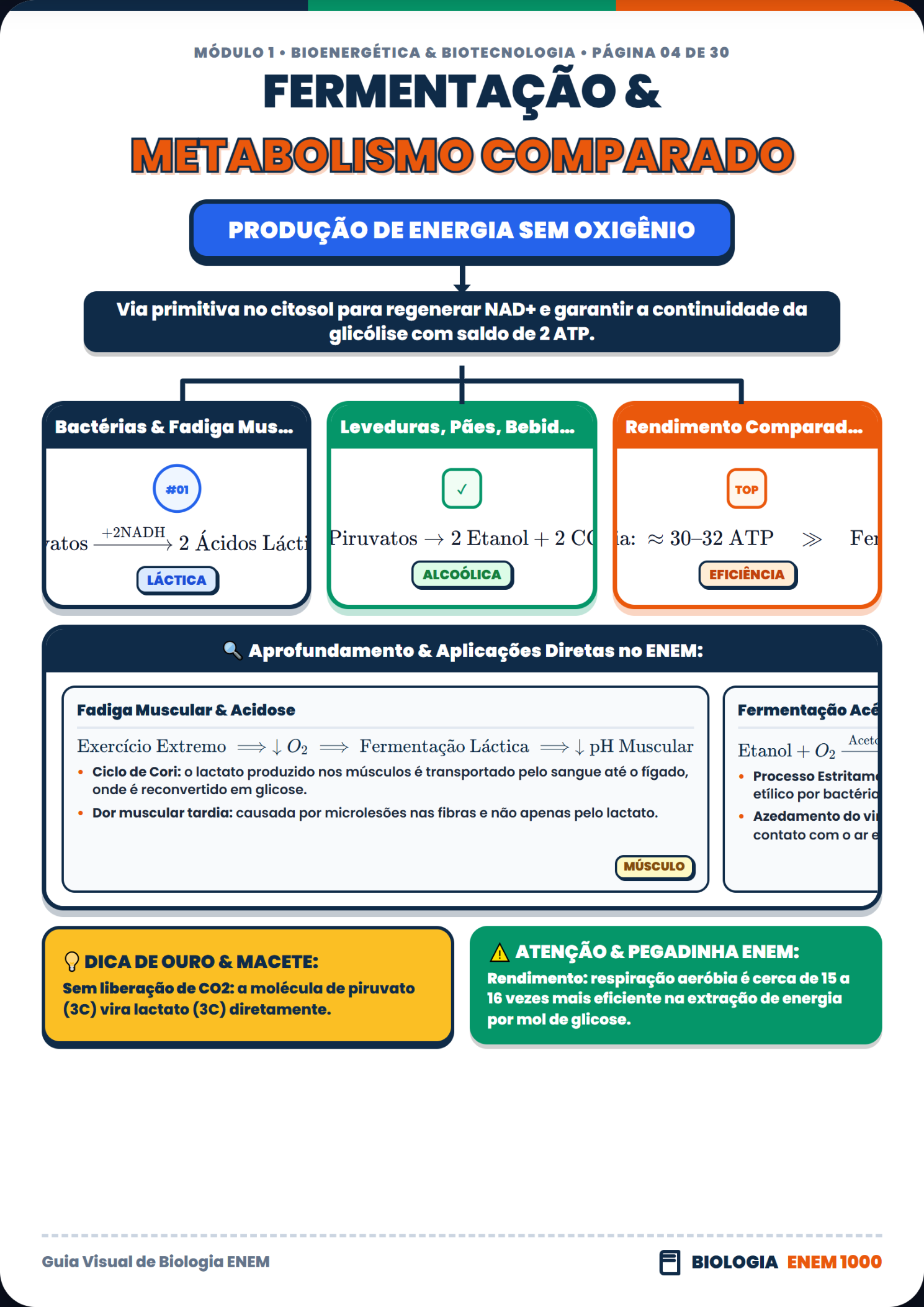 Biologia: Fermentação e Metabolismo